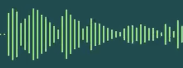Audio waveform