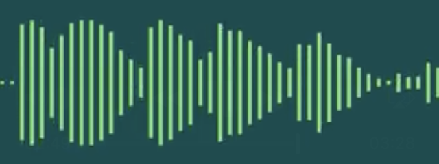 Audio waveform