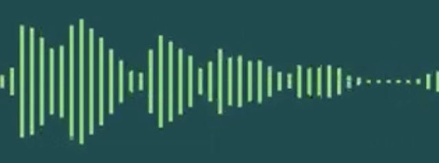 Audio waveform