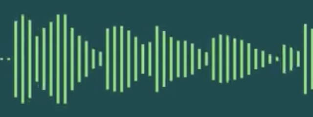 Audio waveform