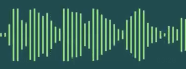 Audio waveform