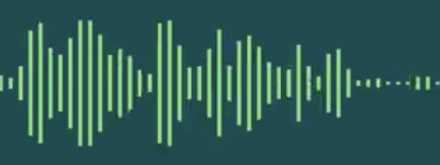 Audio waveform